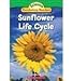 Sunflower Life Cycle - Book by Dr. Jeffrey Bauer
