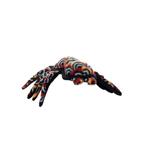 Tuffy Desert Tarantula