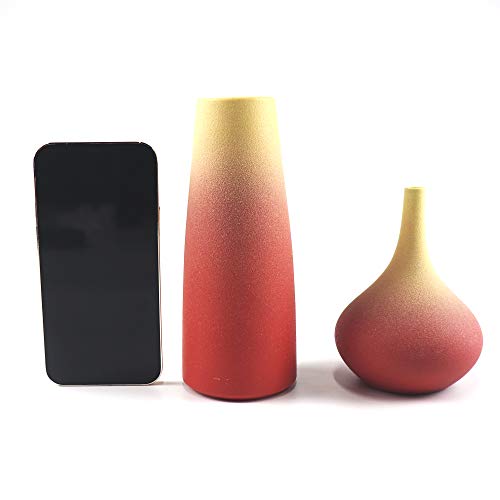 Small Ceramic Vase Set of 2 Flower Vases for Home Décor Living Room,Bookshelf Dcor（Red）