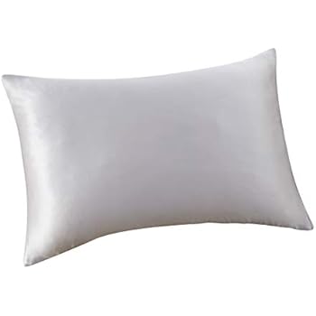 ALASKA BEAR 100% Pure Mulberry Silk Pillowcase for Curly Hair and Skin with Concealed Zipper, Both Sides Hypoallergenic Soft Breathable Silk Pillow Case Queen Size 20×30 inch (1, Silver Gray)