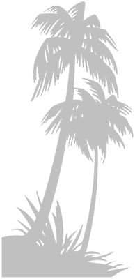 Palm Tree Etch Effect Frosted Vinyl Window Sticker