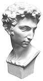 Torino Mini David Head Plaster Cast Mannequin, Great for Artists, Artistic piece, Color: White, Size: 5