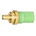 Delphi TS10236 Coolant Temperature Sensor