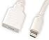TecGadgets - Cable alargador Lightning (1&nbsp;m), color blanco