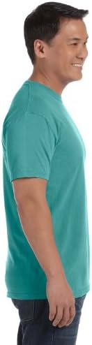 Comfort Colours Adults Unisex Short Sleeve T-Shirt (2XL) (Seafoam)
