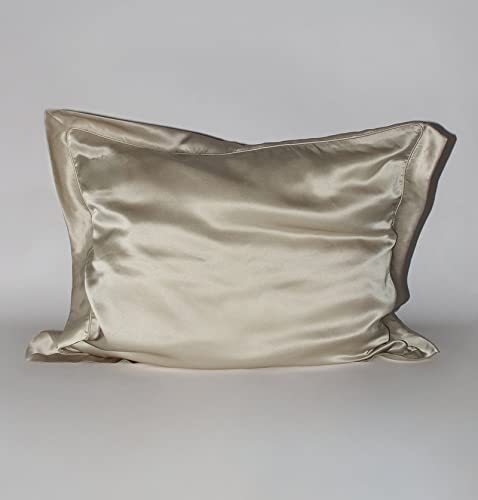 Waterlily 100% Mulberry Silk Pillowcase Oxford Pillowcases for Hair and Skin Envelope 50x75cm Both Sides 19momme Charmeuse Soft Natural Organic Luxury Pillow Case Cover (Champagne Single)