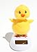 Solar Powered Dancing  Chick
