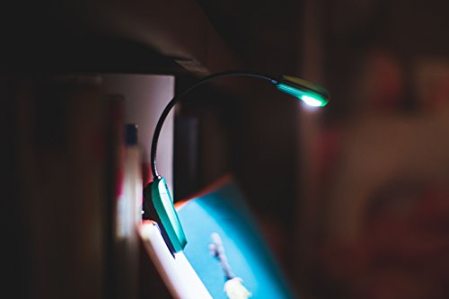 2 Original+Mighty+Bright+MiniFlex+Bookworms