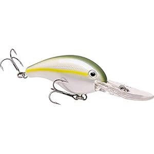 Strike King Hc10 X D-586 Pro Modèle Cb