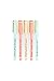 WORLD TRAVELER Eccolo Dayna Lee Collection Anything is Possible - Fine Tip Black Ink Ballpoint Pens (Set of 5), Inspiring Quotes, Gift Boxed