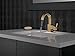 Delta Faucet Vero Single Hole Bathroom Faucet, Gold Bathroom Faucet, Single Handle Bathroom Faucet,Bath Faucet, Metal Push Pop-Up, Champagne Bronze 553LF-CZ