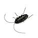 eFashion Solar Power Energy Cockroach Fun Gadget Office School
