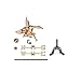 Good Directions 804PR Landing Duck Cottage Weathervane, Polished Copper with Roof Mount