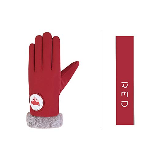 Livoty Women's Windproof Waterproof Bicycle Gloves Slip Plus Velvet Thickening Touch Screen Gloves Mittens (Red)