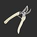 FLYCHENGi Gardening Pruning Shear Scissor, Stainless Steel Household Plant Cutting Bypass Pruner Garden Tree Cutter Anti-slip Home Toolthumb 3
