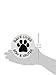 Imagine This 4-3/4-Inch by 4-3/4-Inch Car Magnet Social Issues Circle, Save Lives White Spay and Neuter (C0235)