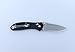 Ganzo G7392P-BK Folding Knife Handle G10 Pattern Blade 440C Lock Axis