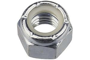 THE RIVET GALLERY Stainless Nylon Insert Lock Nuts 1/4"-20 Qty: 25 (Nylock)