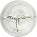 SYLVANIA - 158 Long Life Miniature - Bulb, Ideal for Interior Lighting - Trunk, Cargo and License Plate (Contains 2 Bulbs)