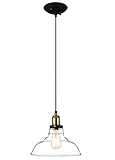 Pendant Lights Hanging Glass Ceiling Mounted Chandelier Fixture,Oak Leaf Vintage Industrial Edison Glass Ceiling Pendant Lighting