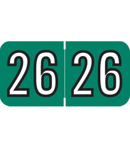 2025 Year Stickers - 500 Pcs Holographic Rectangle Labels, 3/4" X 1-1/2", Color Coded Filing