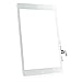 Tongyin Digitizer Replacement Parts for Ipad air Generation A1474 A1475 A1476(White), Touch Panel Screen Glass + 7 Pieces Tools + Professional Adhesive