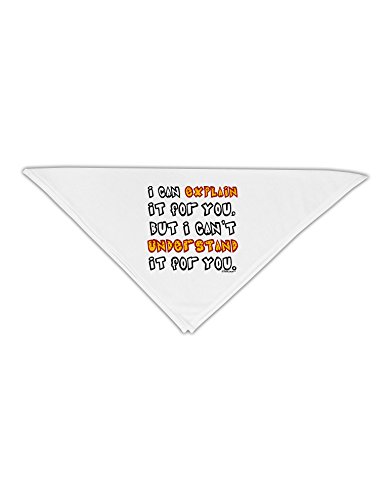TooLoud I Can Explain It For You Adult 19" Square Bandana