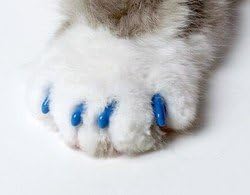 Soft Claws Small Blue CLS Nail Caps for Cats 6-8 lbs.