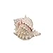 Pink Murex Seashell 4