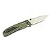 Ganzo G704-GR Folding Pocket Knife 440C Stainless Steel Blade G10 Handle with Clip Camping Fishing Hunting Outdoor EDC Knife (Green) with Gift - Multi-Tool Card 8-in-1