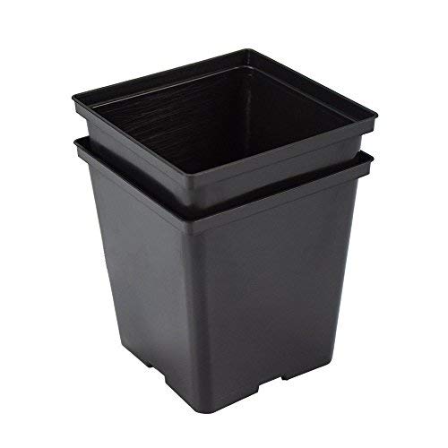Penseetek 24 Pack 1/2 Gal Plastic Square Nursery PotsSquare Nursery