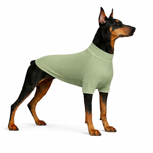 LoveLongLong Spring Summer Cooling Dog T-Shirt with UV Protection and Moisture-Wicking Fabric Blank Color Light green 2XL — image 1