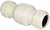 Parts2O FPW212-4 2-Inch Heavy Duty Sewage Check Valve