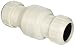 Parts2O FPW212-4 2-Inch Heavy Duty Sewage Check Valve