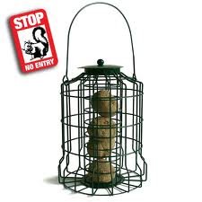 Wild Bird Squirrel Proof Fat Ball Feeder Amazon Co Uk Pet Supplies