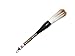MasterChinese Large Chinese Calligraphy Watercolor Drawing Kanji (Wolf Goat Hair) - Practice Brush