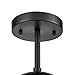 Light Society Zeno Globe Semi Flush Mount Ceiling Light, Clear Glass with Black Finish, Contemporary Mid Century Modern Style Lighting Fixture (LS-C176-BK-CL)