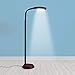 Kenley Natural Daylight Floor Lamp - Tall Reading Task Craft Light - 27W Full Spectrum White Bright Sunlight Standing Torchiere for Living Room Bedroom or Office - Adjustable Gooseneck Arm - Dark Wood