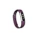Fitbit Alta Classic Accessory Band, Plum Large