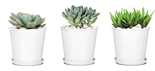 Monarch Abode 20010 Indoor Plants (Set of 3) Hand Hammered Flower Succulent Pot…
