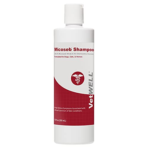 chlorhexidine dog shampoo