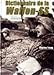 Dictionnaire de la Waffen-SS Tome 1 (French Edition) by 