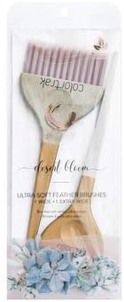 Colortrak Betty Dain Desert Bloom Hair Color 2 Pack Brushes