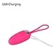 Bluesky Silicone Wireless Powerful 12 Speed Vibrating Egg with Remote Control- Pink