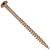 NATIONAL NAIL 356174 350CT 3 by 9-Inch Tan Deck Screw