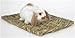 Peter's Woven Grass Mat for Rabbits