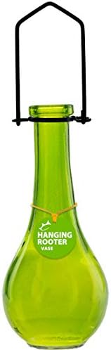 Couronne Co. 7" Hanging Rooter Drop Style Glass Vase with Removable Hanger (Lime)