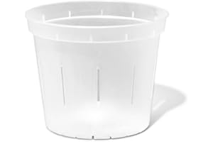 rePotme Orchid Pot - 6 inch Slotted Clear Orchid Pots - 3 Pack (Crystal Clear)