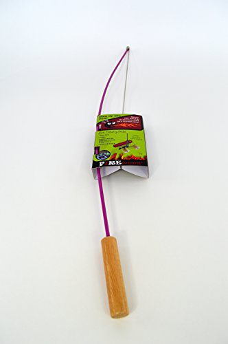 Fire Buggz Fishing Pole Campfire Roaster (Purple)
