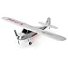 HobbyZone Champ S+ RTF RC Airplane with Safe Technology and AS3X